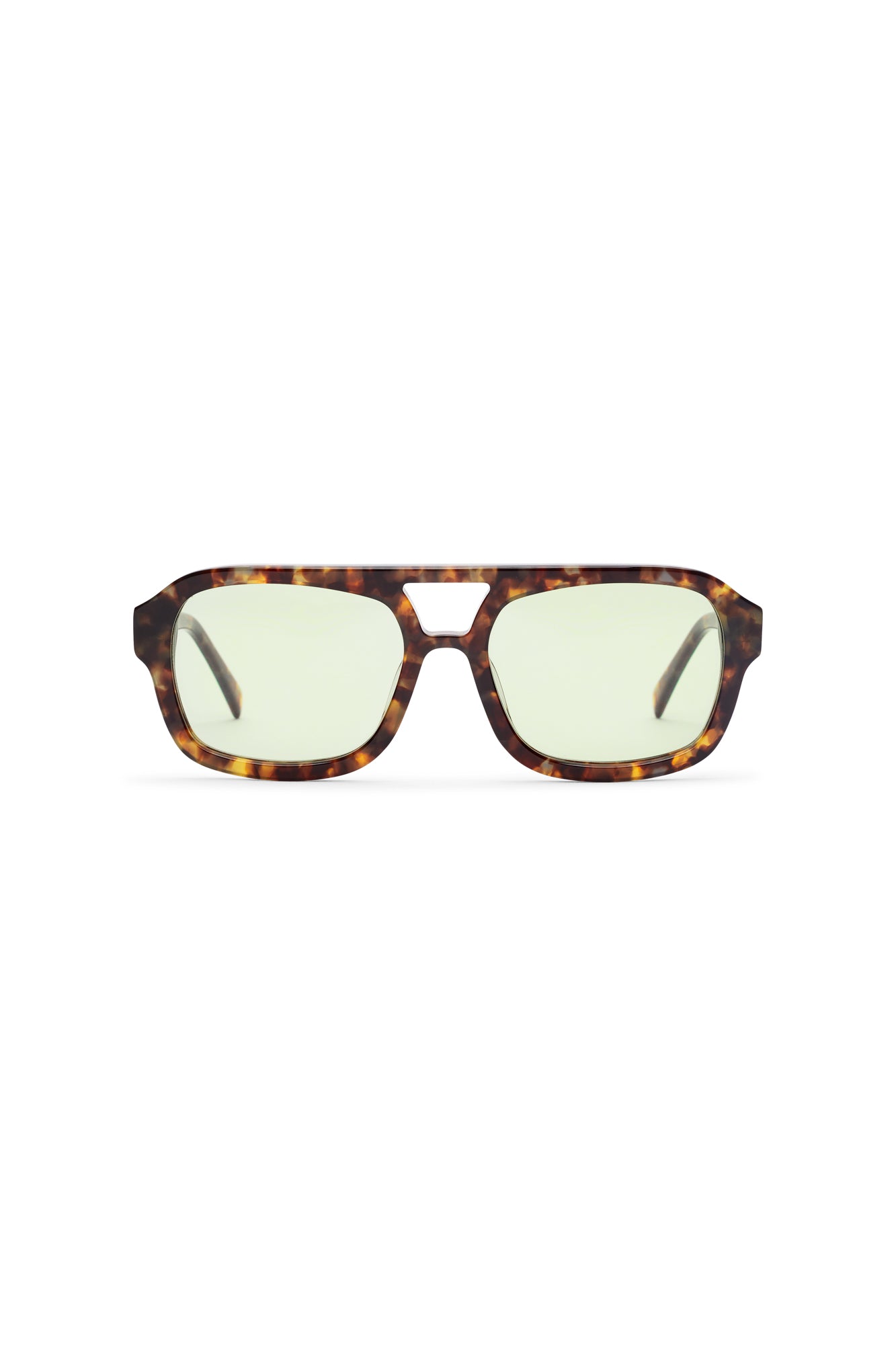 FRED 03 in TORTOISE