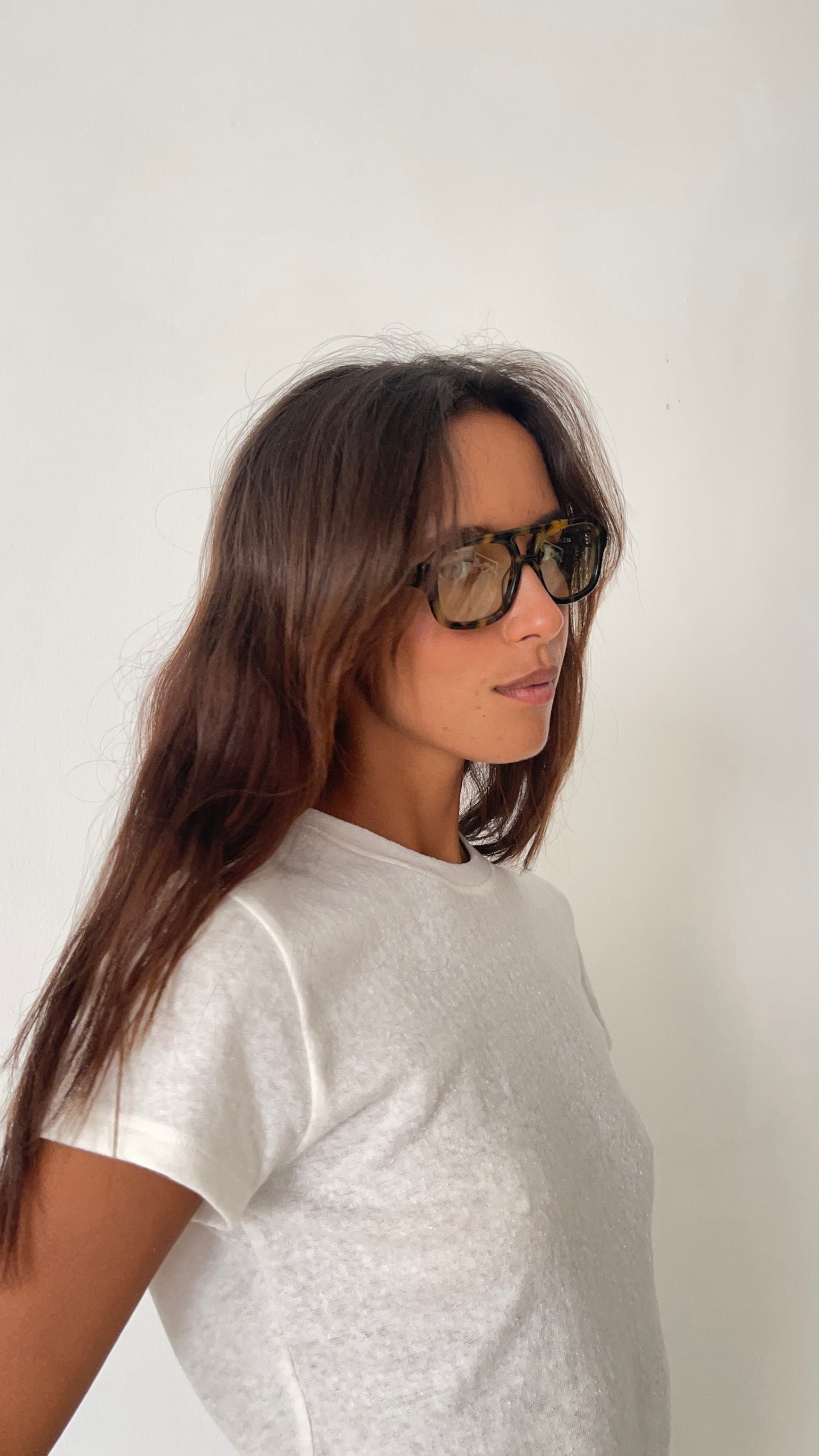 FRED 04 in TORTOISE